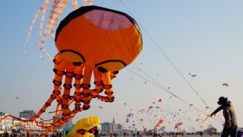 Cerfs Volants de Berck Journée