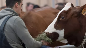 Paris - Salon de l'Agriculture