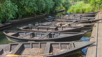 St Omer & les marais