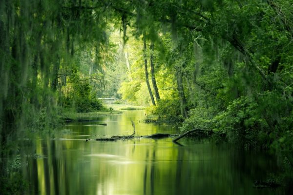 Tradition du marais audomarois