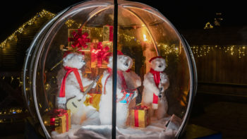 Noël à Pairi Daiza
