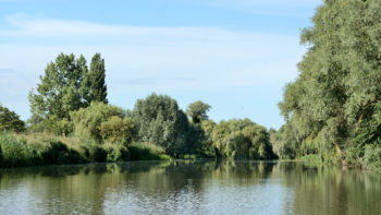 Tradition du marais audomarois