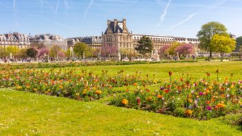 Paris en Liberté